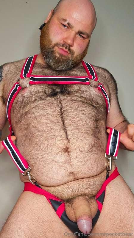 mrpocketbear image #9