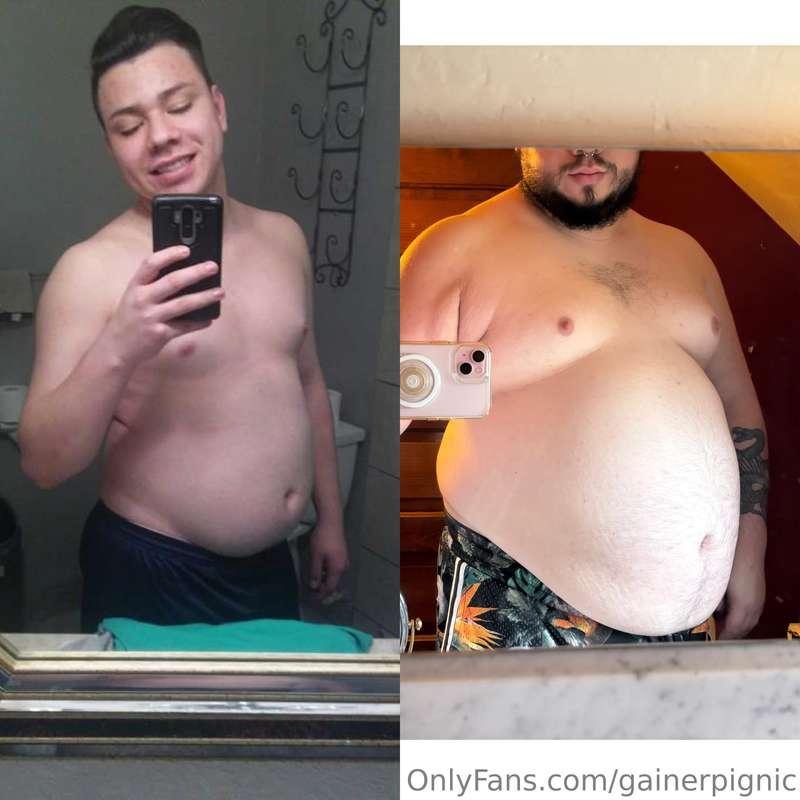 Growing pig
