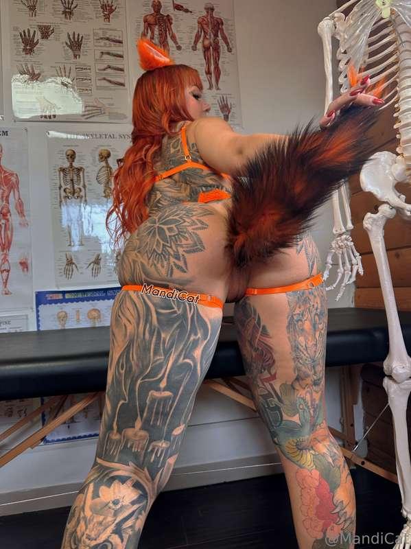 I love being a naughty kitty