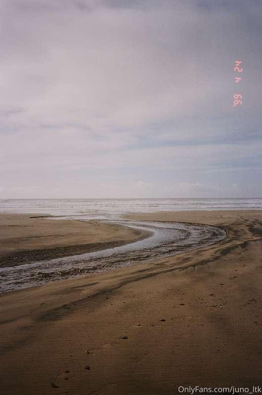 Developed some film from my point & shoot. I use this camera..