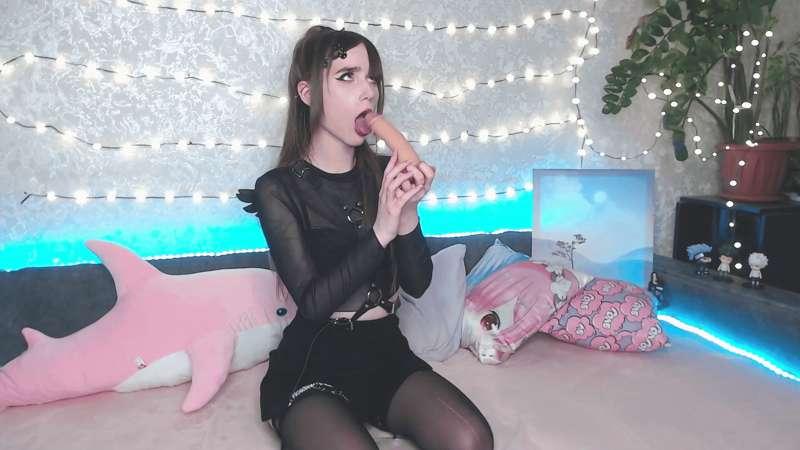 himamurmeow image #0
