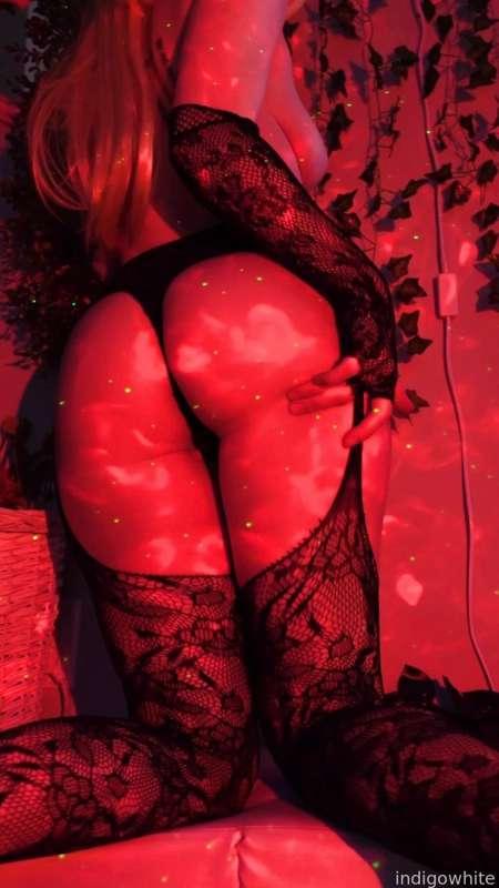 indigowhite image #25