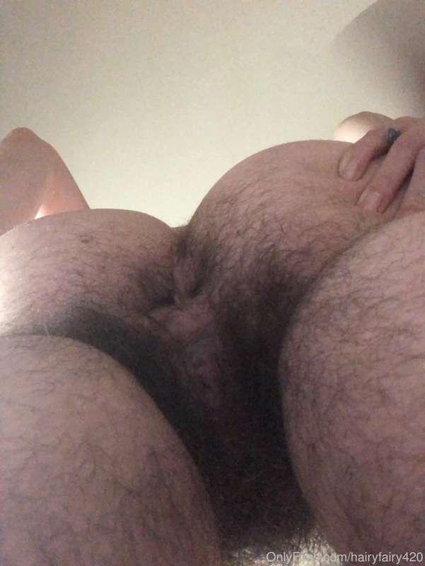 hairyfairy420 image #2