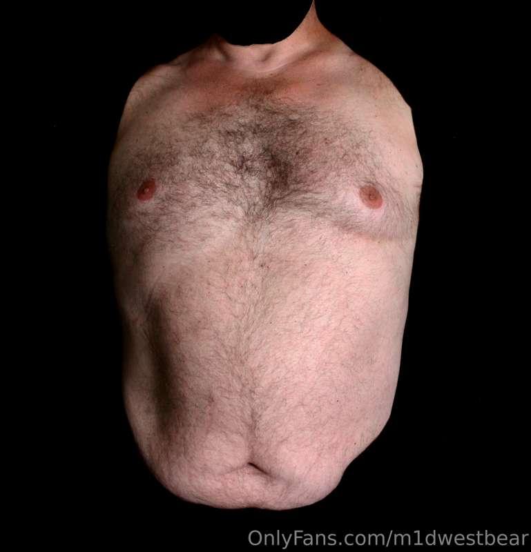 m1dwestbear image #5