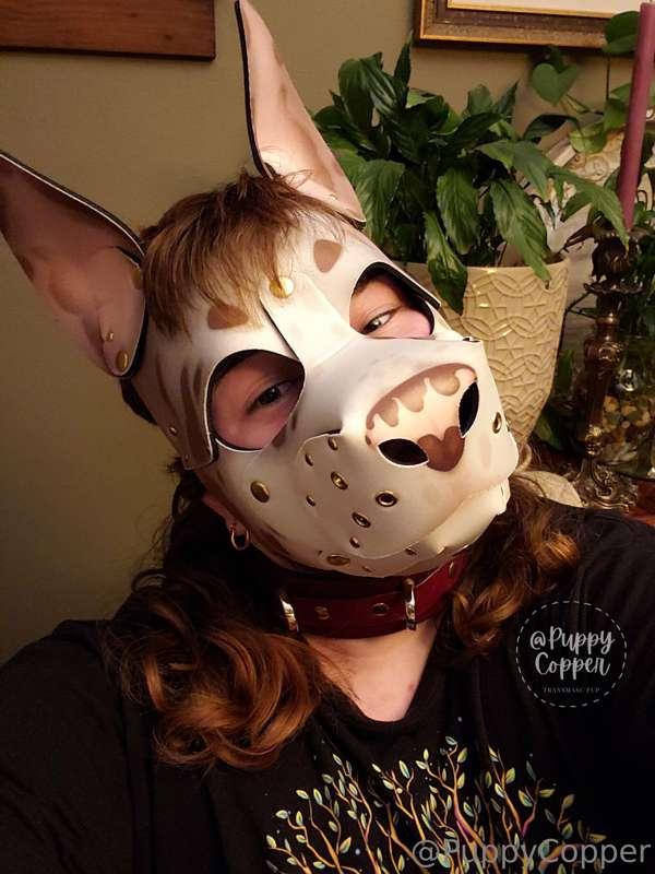 wruff wruff!!! puppy in new hood!!