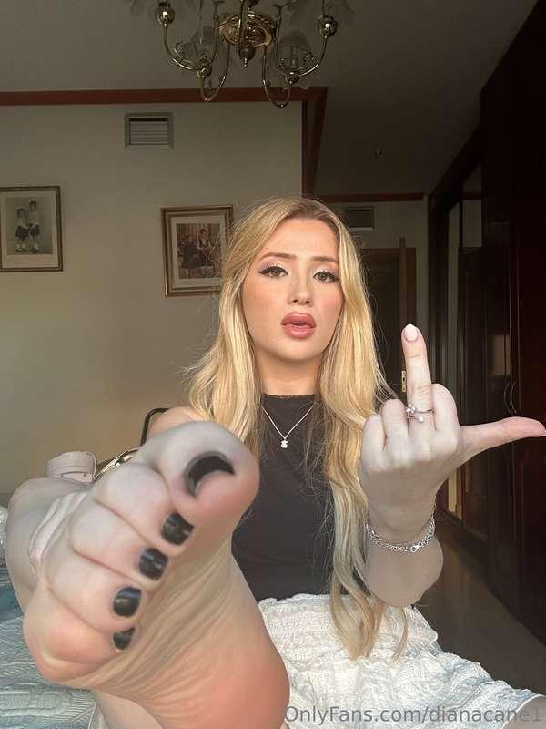 Suck my toes pet 🐶