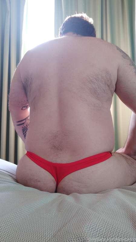 bearpamp image #2
