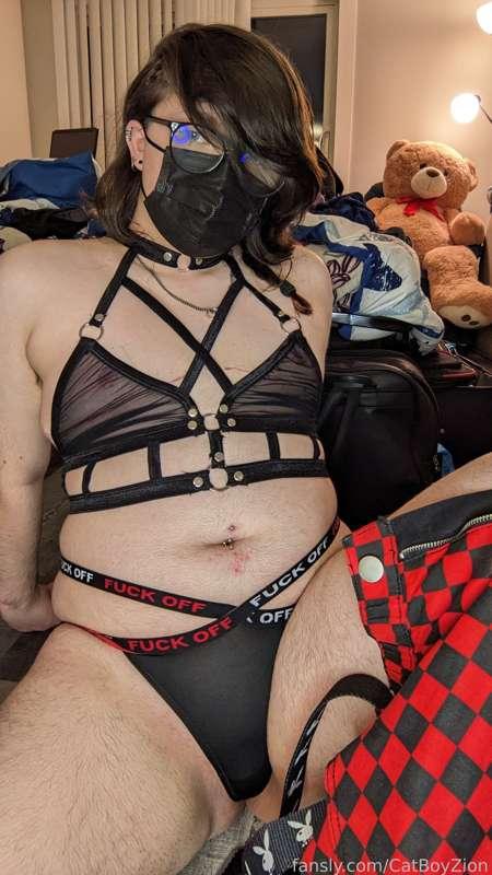 catboyzion image #17