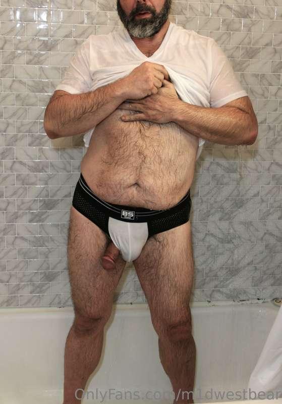 m1dwestbear main image