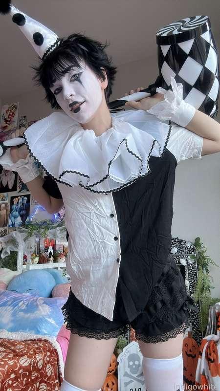 indigowhite image #120