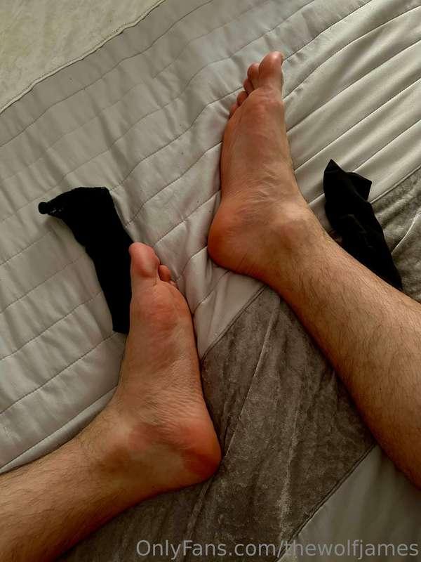 thewolfjames image #5