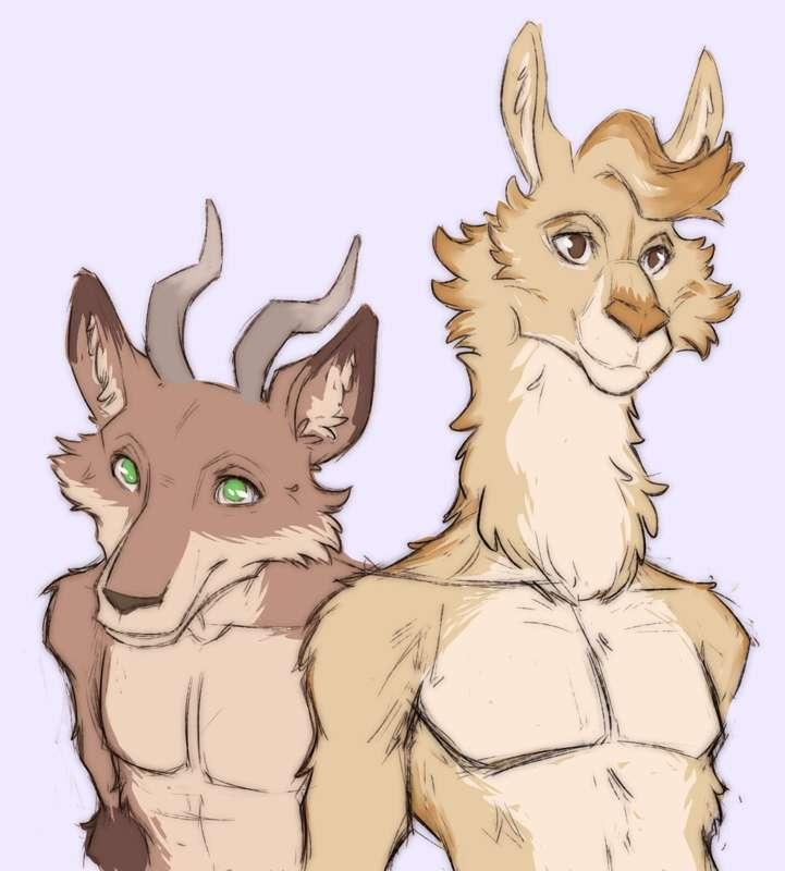 Fuffy Boys - streaming request