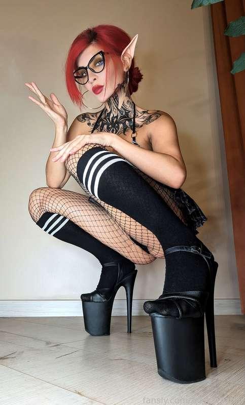 aleksavamp image #1
