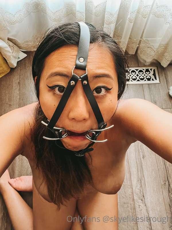 skyelikesitrough image #0