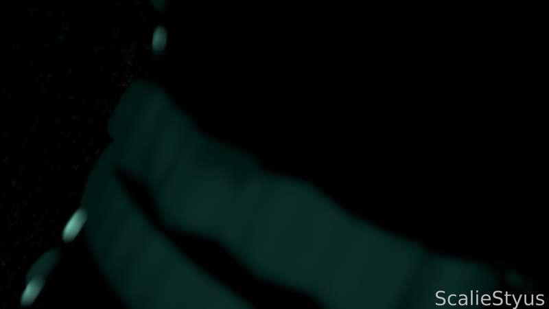scaliestylus image #8