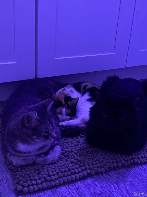 i’ve been in the restroom sick all night and look at these c..