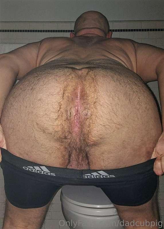 dadcubpig image #0