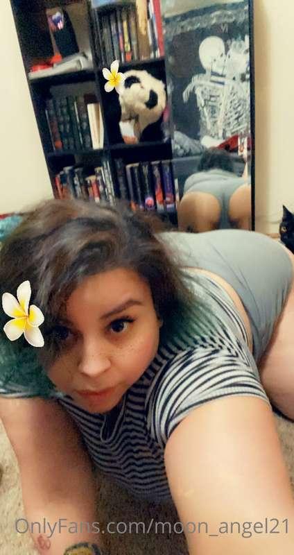 panda_chick21 image #7