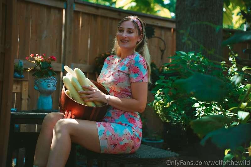 wolfofthewild image #1