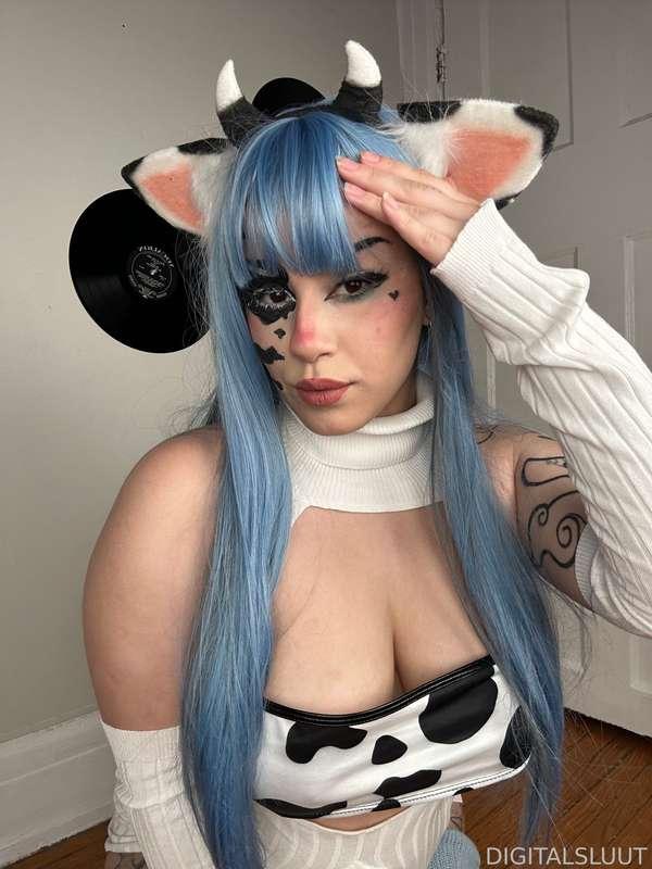 bunnisluut image #16