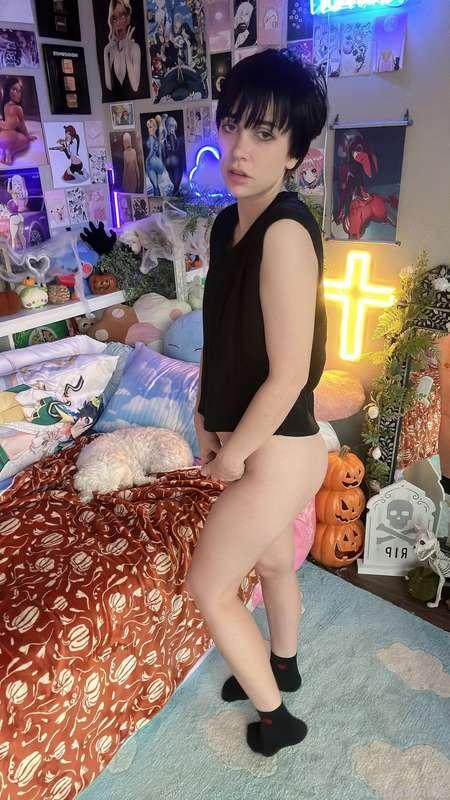 indigowhite image #157