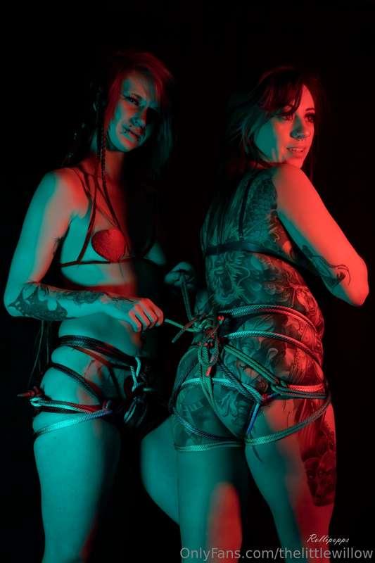 thelittlewillow image #6