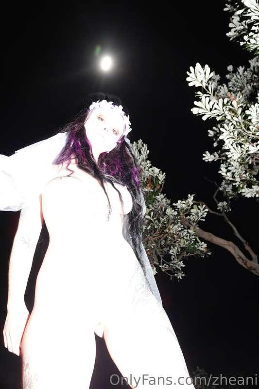 zheani image #3