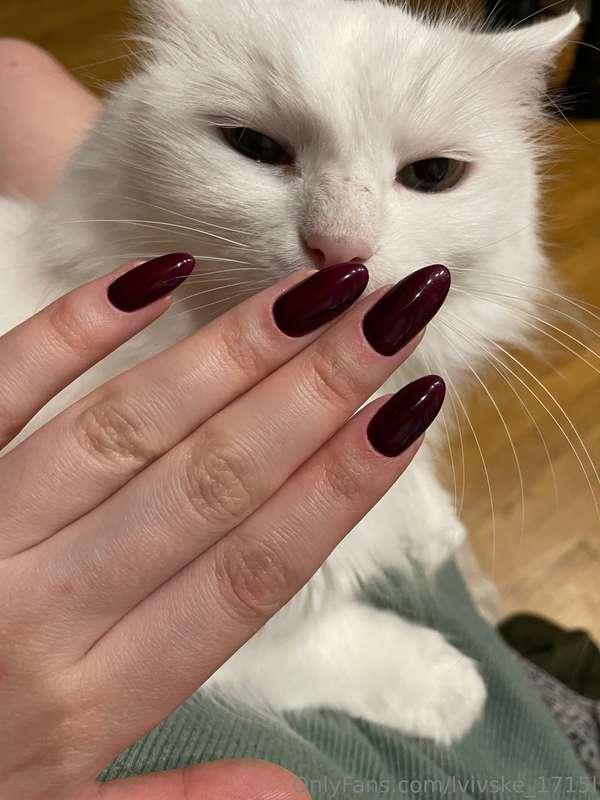 💅🏻😼