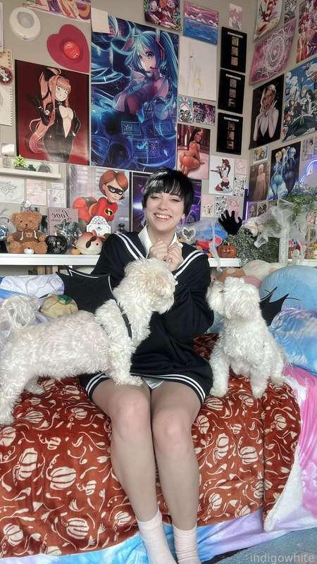 indigowhite image #171