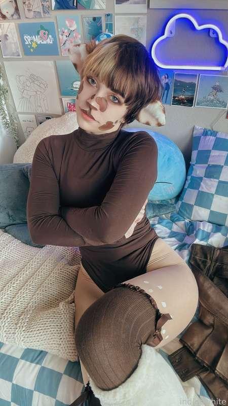 indigowhite image #147