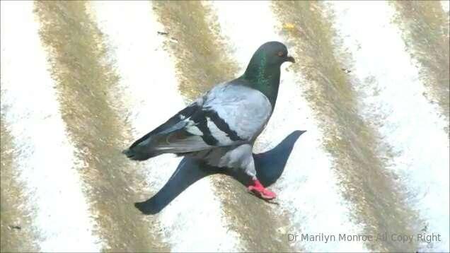 My Fans. I want to make sure you are not living under some k..