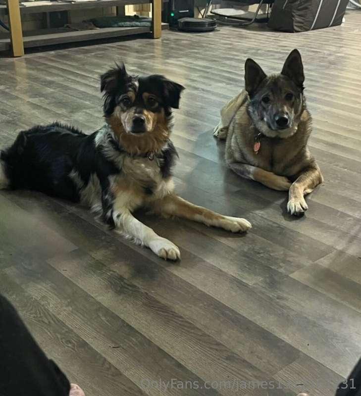 My puppy dogs 🐶 