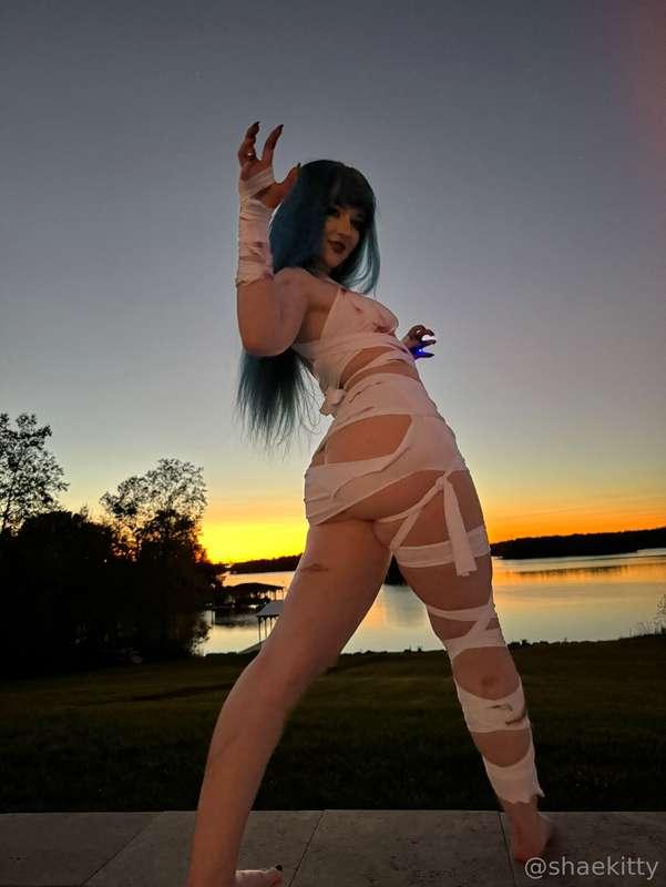 shaekitty main image