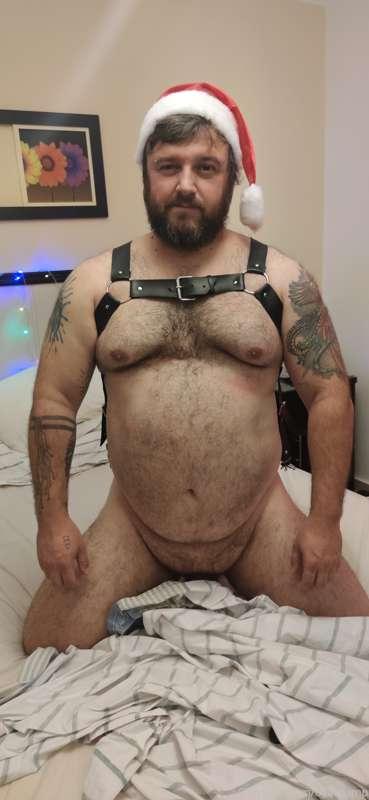 bearpamp image #0