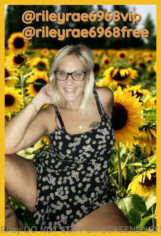 🆓️ FREE COMP🆓️ 🌻 SEXY IN SUNFLOWERS 🌻

✅️ ENTRY FEE 30 LIKES..