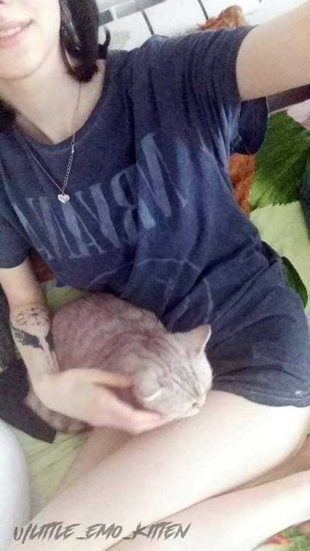 little_emo_kitten image #8