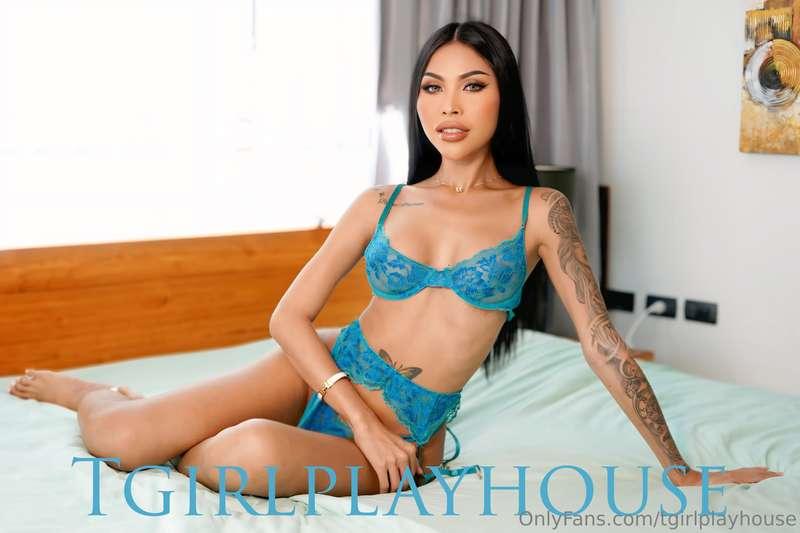 tgirlplayhouse image #2