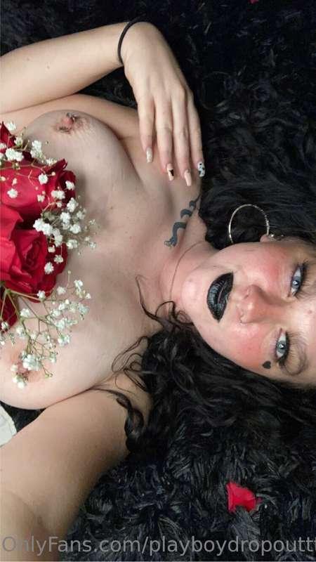 playboydropouttt image #1