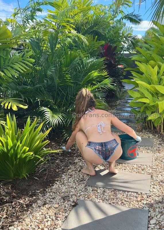 Been doing some weeding 🪴 What are you doing? DM me 😉