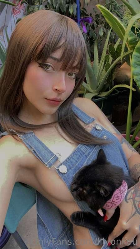 Te gustan los gatitos?