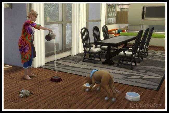 Working Pet Water Bowls (Cats & Dogs)