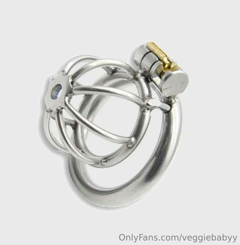 i think it's time to upgrade @LayneLove's cage! i like the l..