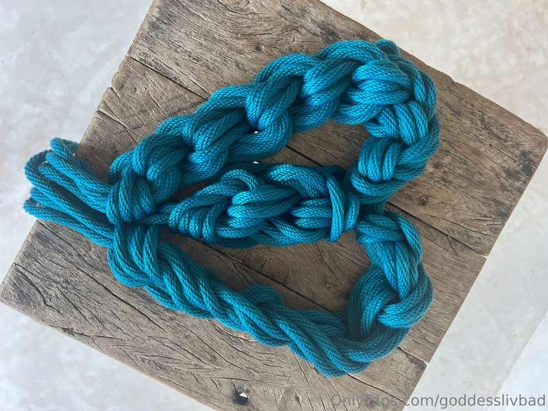 These beautiful shibari ropes got to hold Your Majesty's bod..