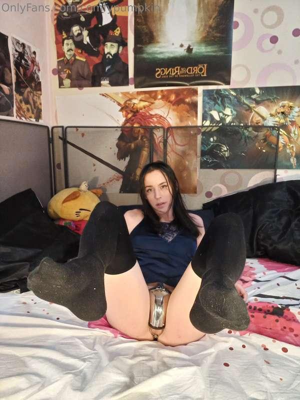 comfypumpkin image #5