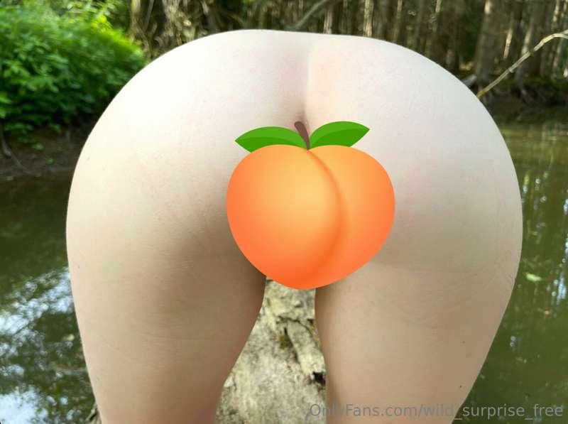 Do you like the view of my vagina and my butt hole from behi..