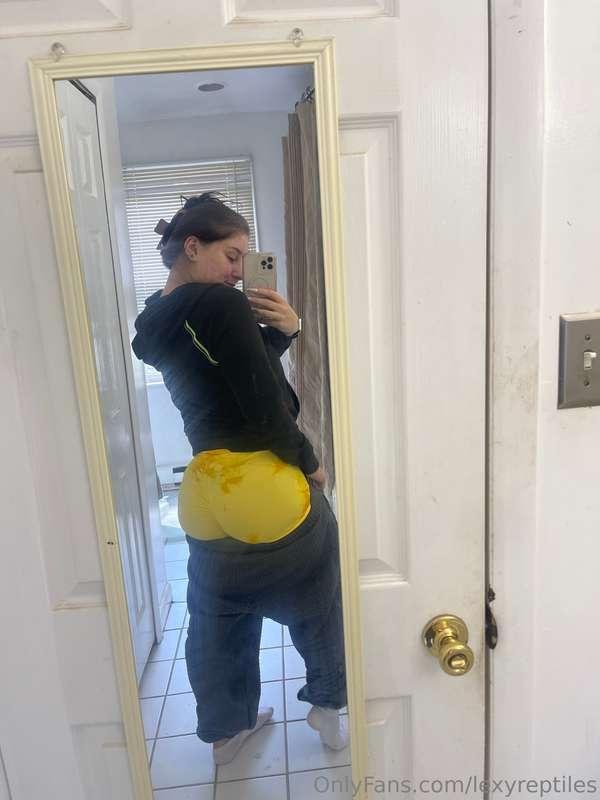 lexyreptiles image #8