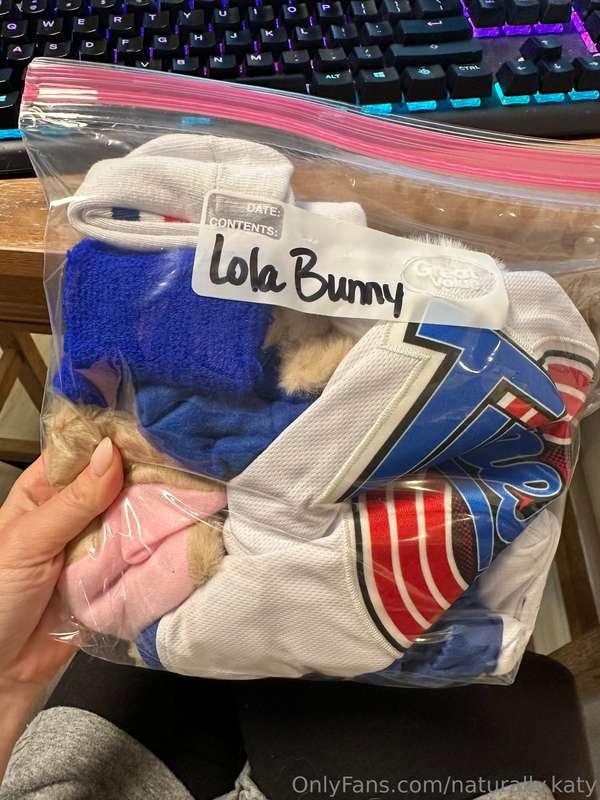 I just got a Lola Bunny custom request in my DMs 🥰 If anyone..