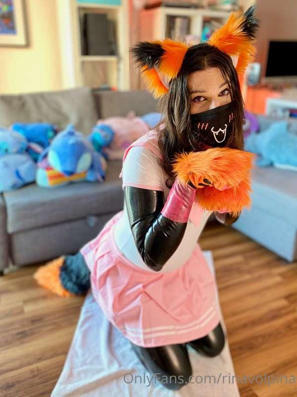 #LatexSeries 21 - Pets

Foxes don't usually make good pets, ..