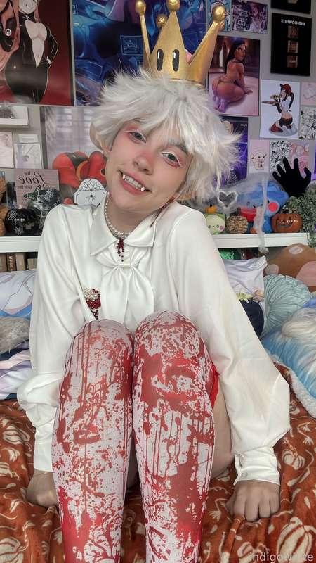 indigowhite image #109