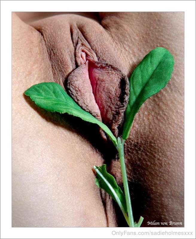 Look at my flower